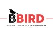 BBIRD